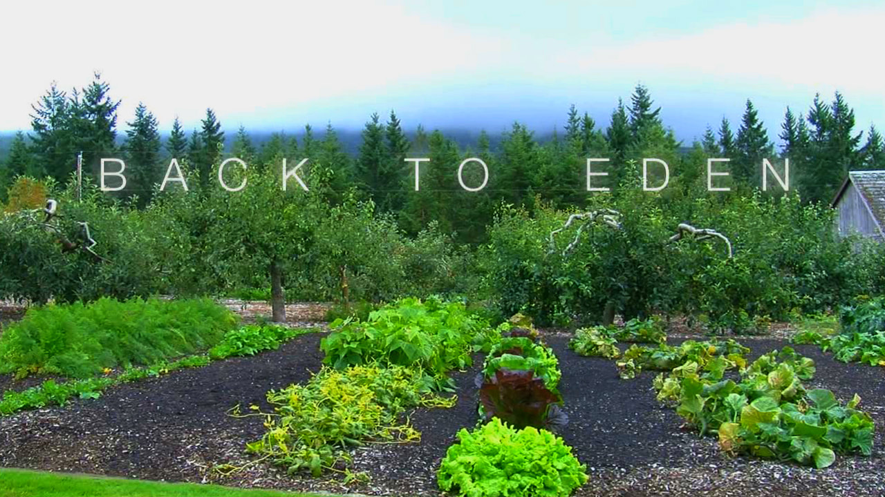 Back To Eden Gardening Tips Back To Eden Gardening Documentary