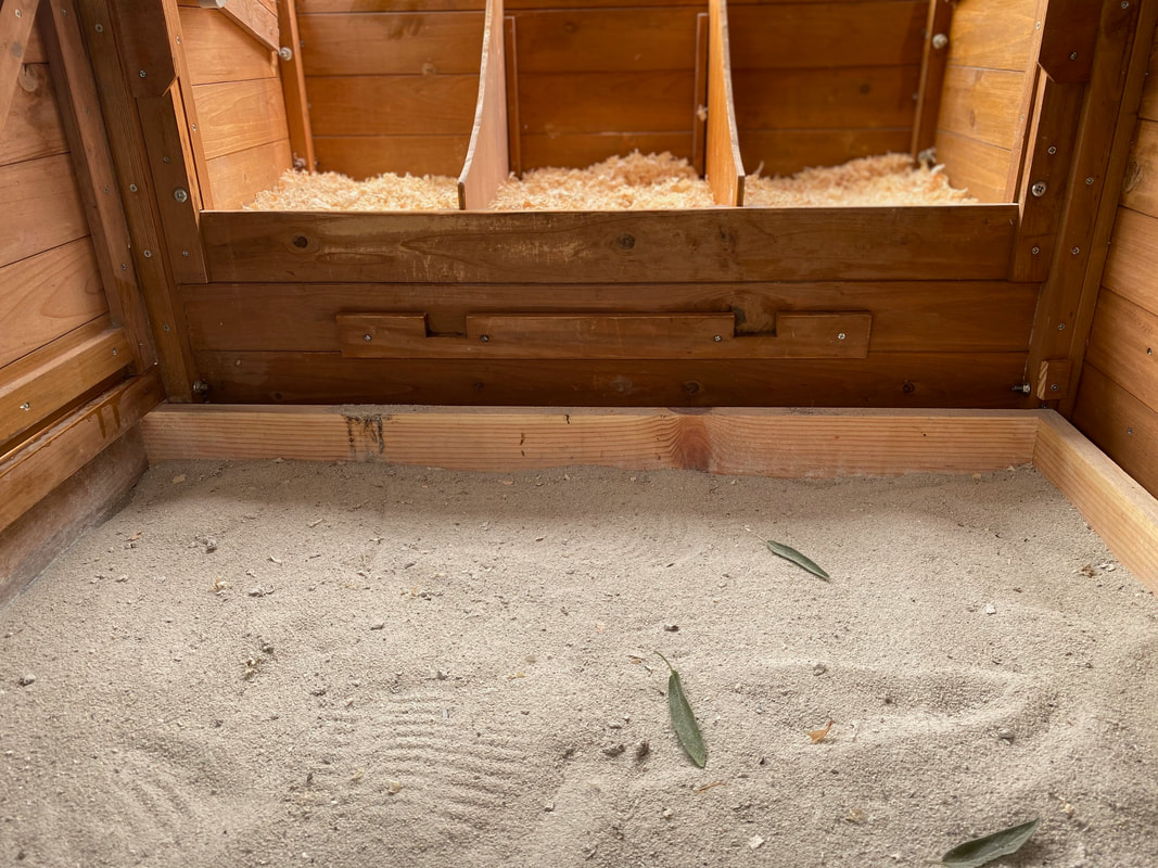 Sand in Chicken Coop