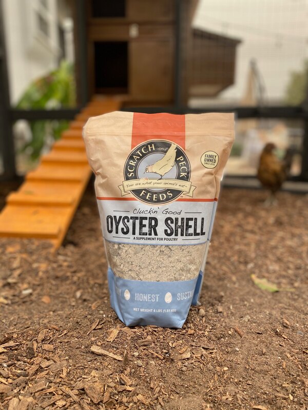 Oyster Shells for Chickens