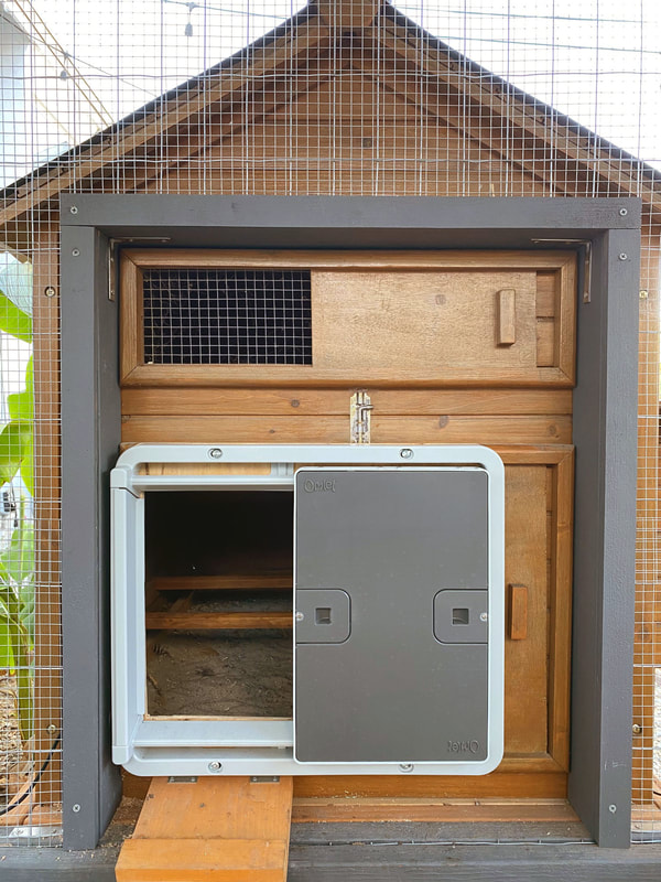 Omlet Automatic Chicken Coop Door Install