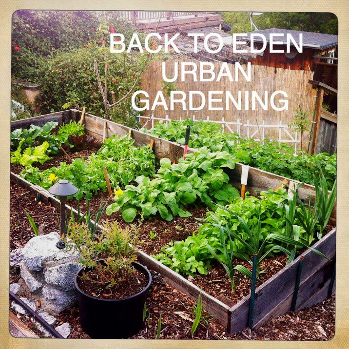 Back To Eden Gardening Tips, Back To Eden Gardening